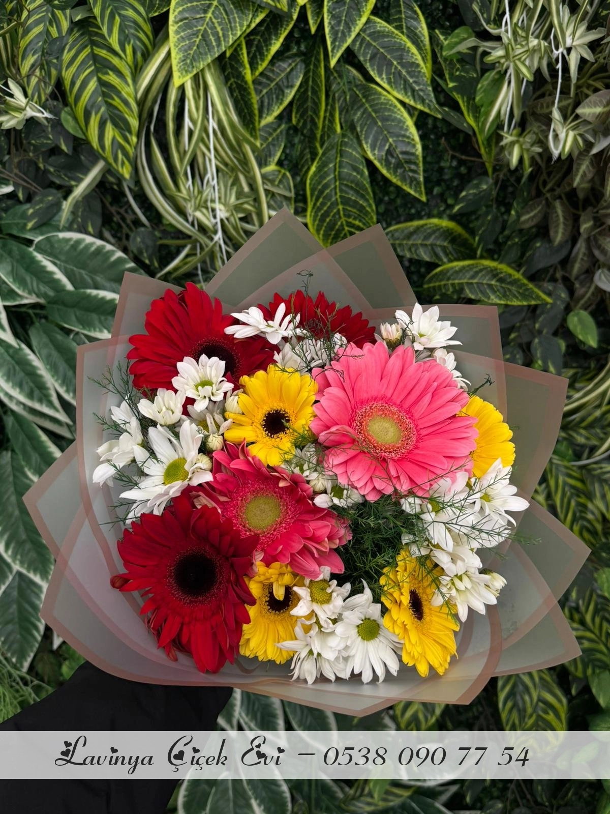 Beyaz Papatya & Renkli Gerberalar