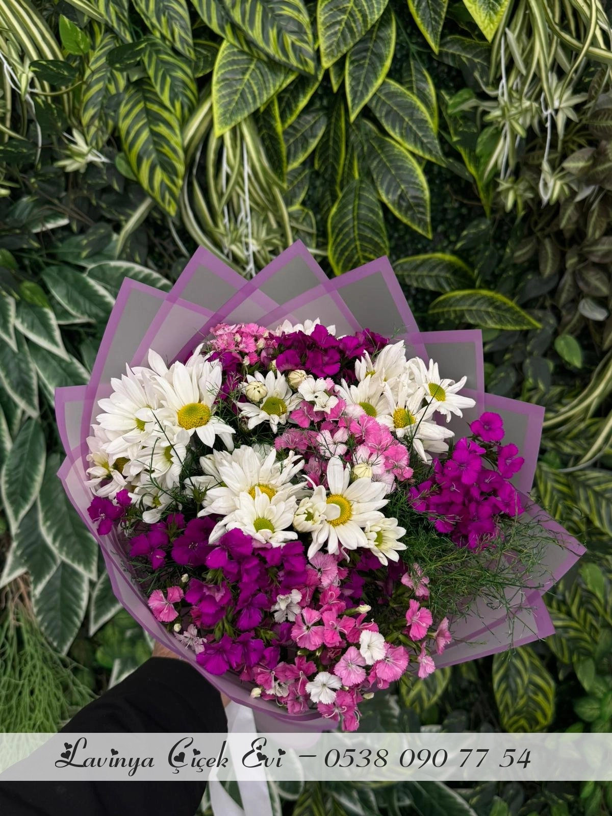 Hüsnü Yusuf & Beyaz Papatya