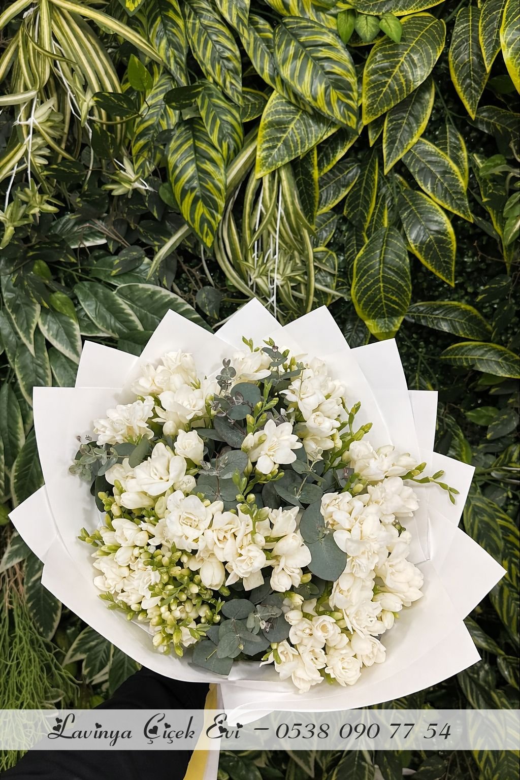 Kokulu Beyaz Frezya Buketi