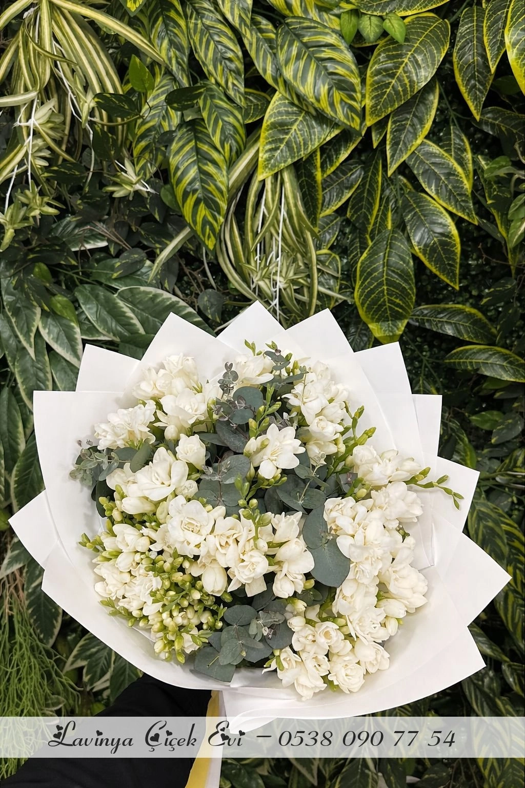 Kokulu Beyaz Frezya Buketi