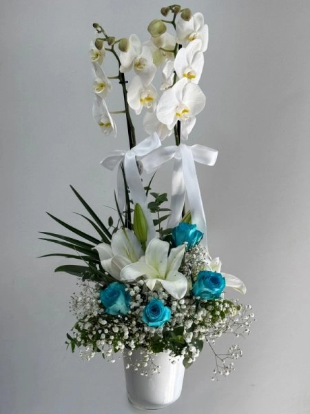 Beyaz Orkide Aranjmanı