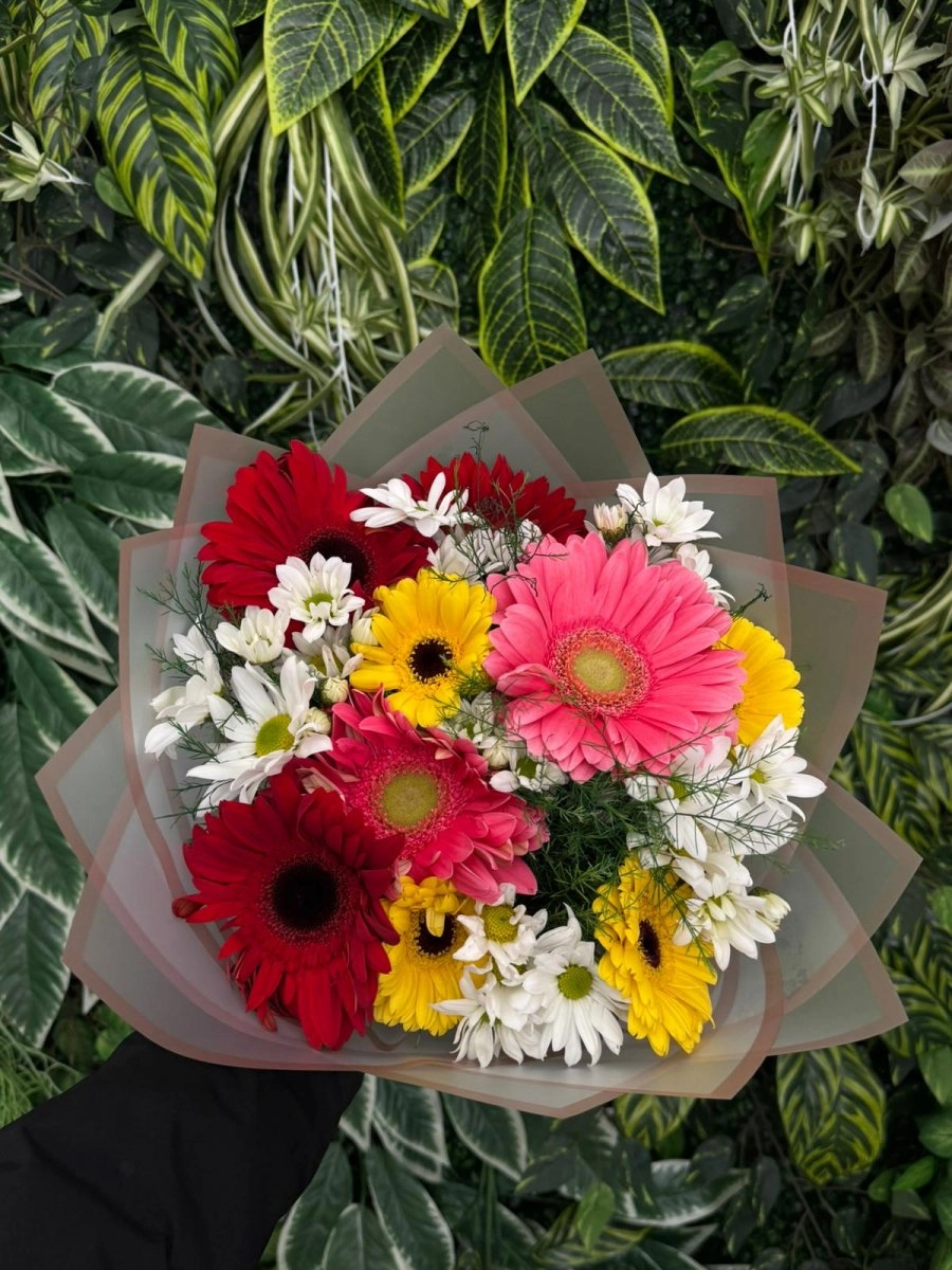 Beyaz Papatya & Renkli Gerberalar