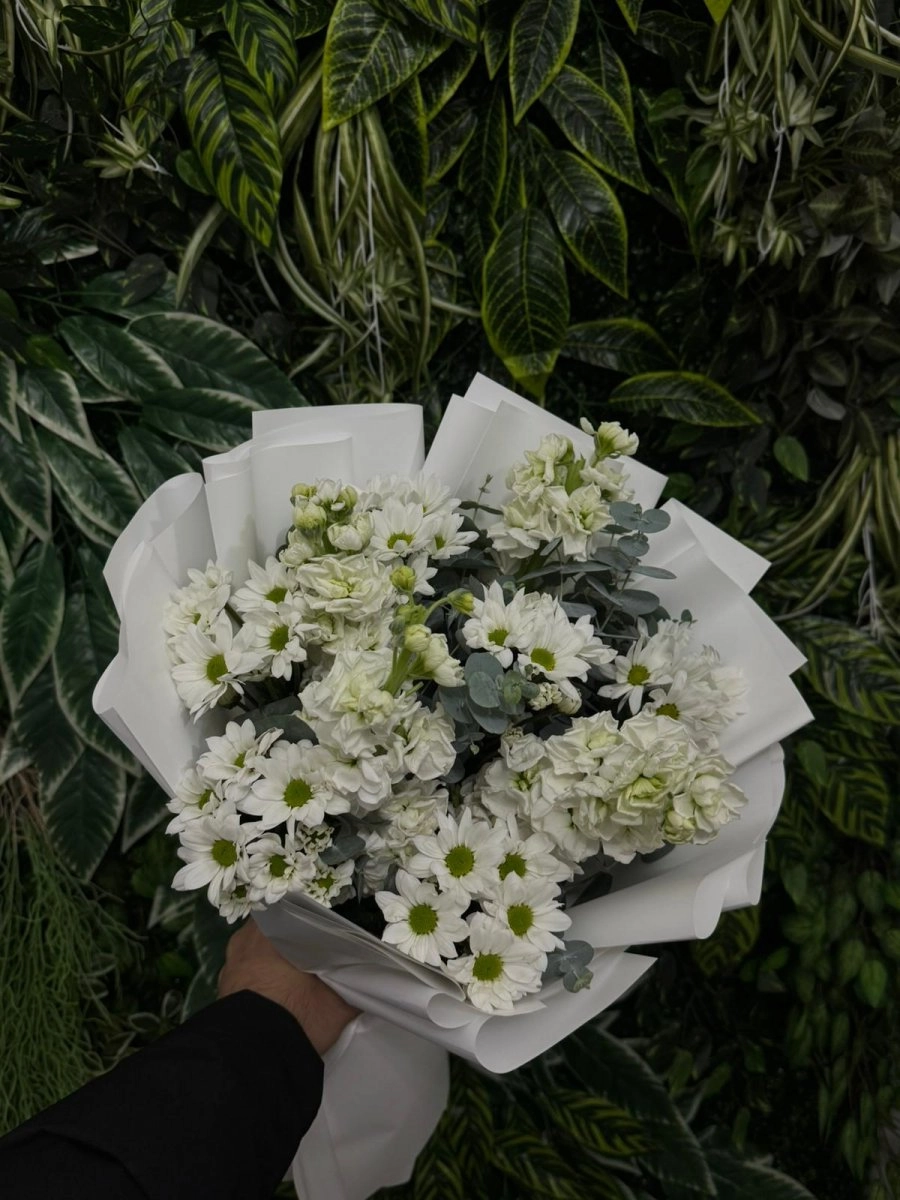 Beyaz Şefboy Ve Papatya