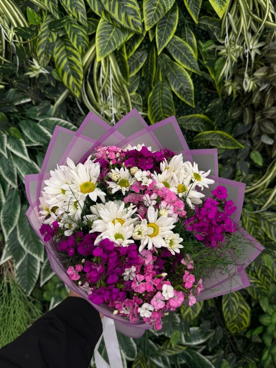 Hüsnü Yusuf & Beyaz Papatya