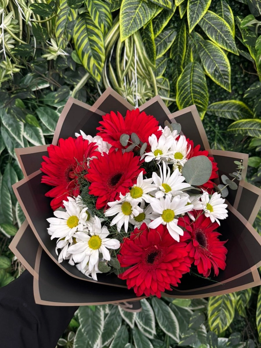 Kırmızı Gerbera & Beyaz Papatyalar