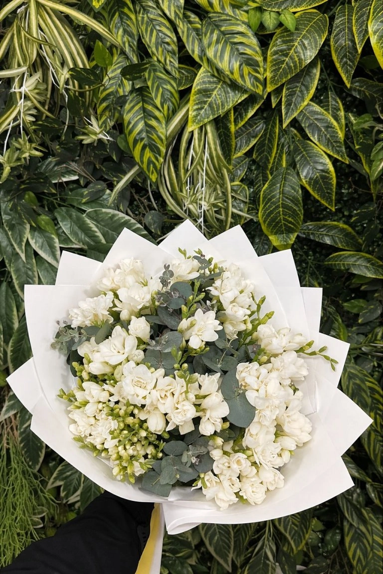 Kokulu Beyaz Frezya Buketi